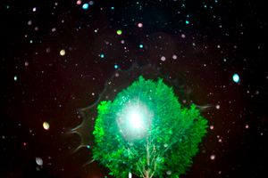 All The Rivers Flow Into The Nuthouse