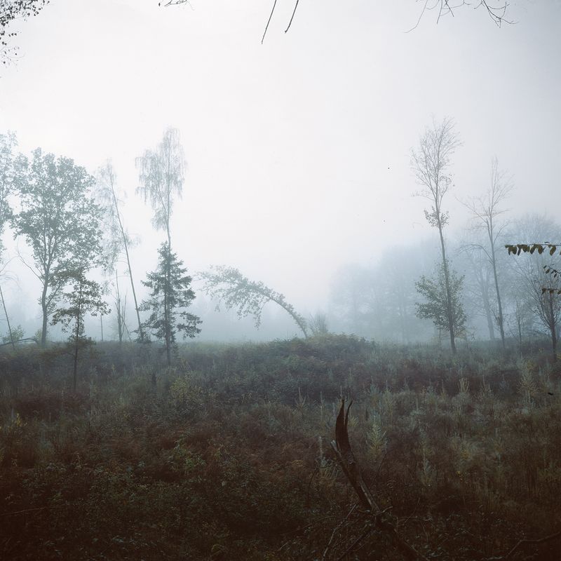 © Antine Karla Yzer - Image from the consumed by uncertainty photography project