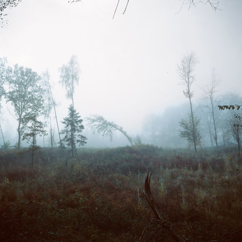 © Antine Karla Yzer - Image from the consumed by uncertainty photography project