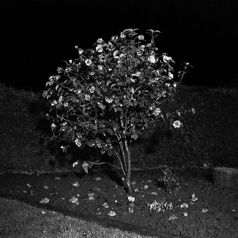 © Antine Karla Yzer - Image from the consumed by uncertainty photography project