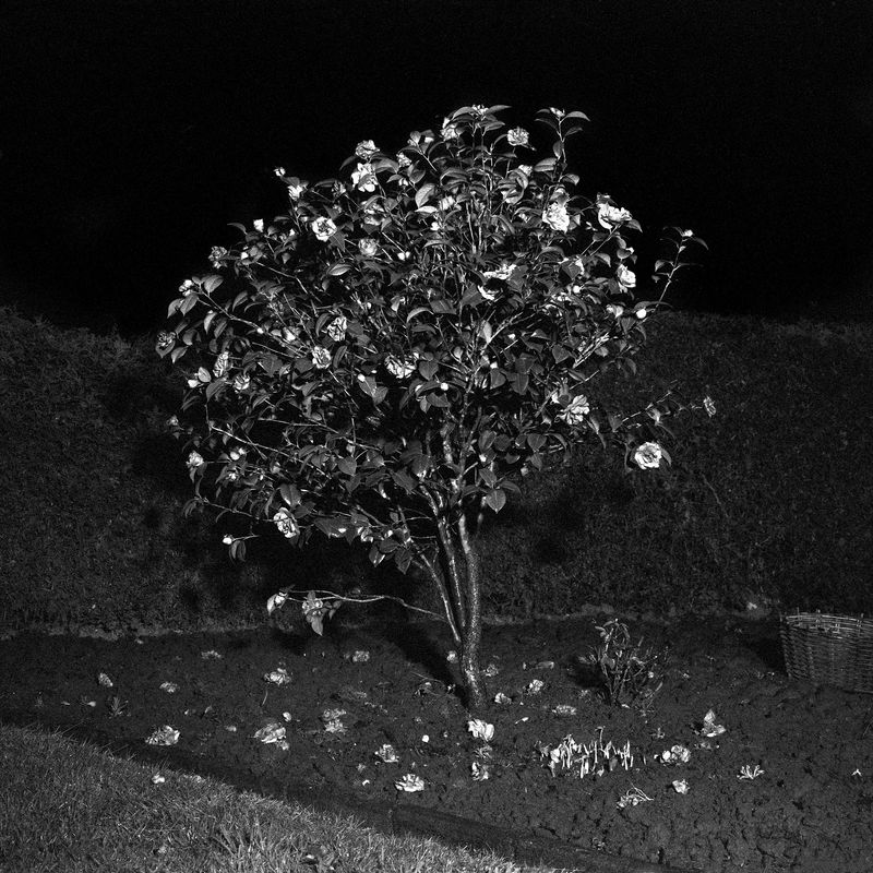 © Antine Karla Yzer - Image from the consumed by uncertainty photography project