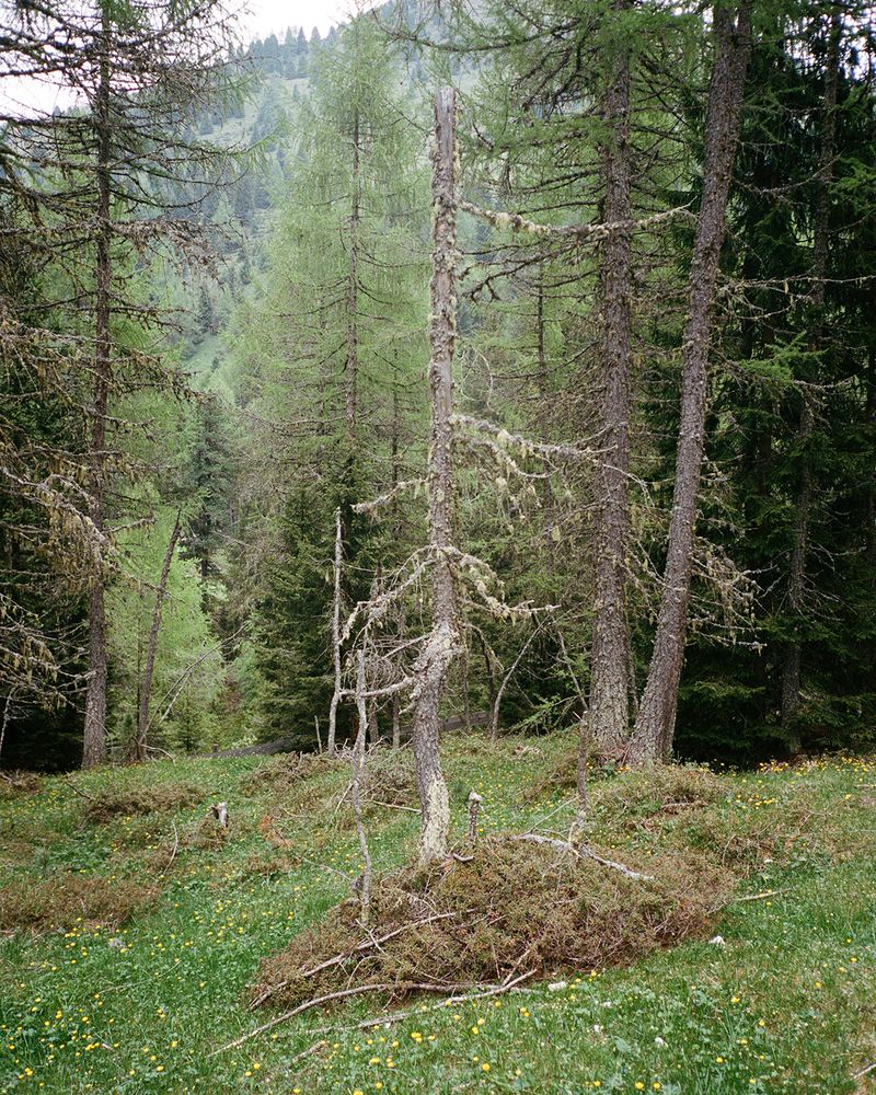 © Michal Patycki - Image from the me, i think i found it photography project