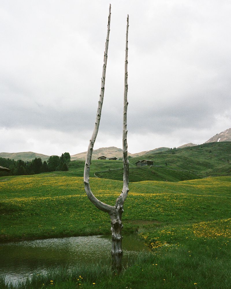 © Michal Patycki - Image from the me, i think i found it photography project