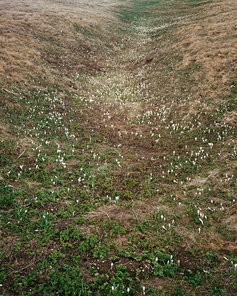 © Michal Patycki - Image from the me, i think i found it photography project