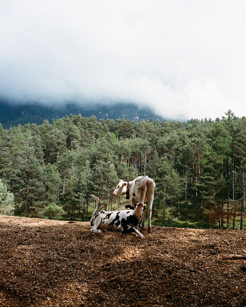 © Michal Patycki - Image from the me, i think i found it photography project