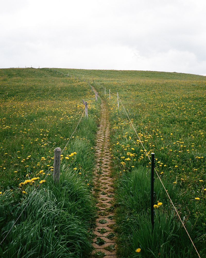 © Michal Patycki - Image from the me, i think i found it photography project