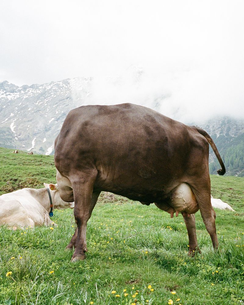 © Michal Patycki - Image from the me, i think i found it photography project