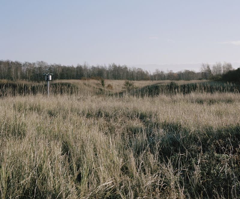 © Dan Frisk  Petersen - Image from the Observations photography project