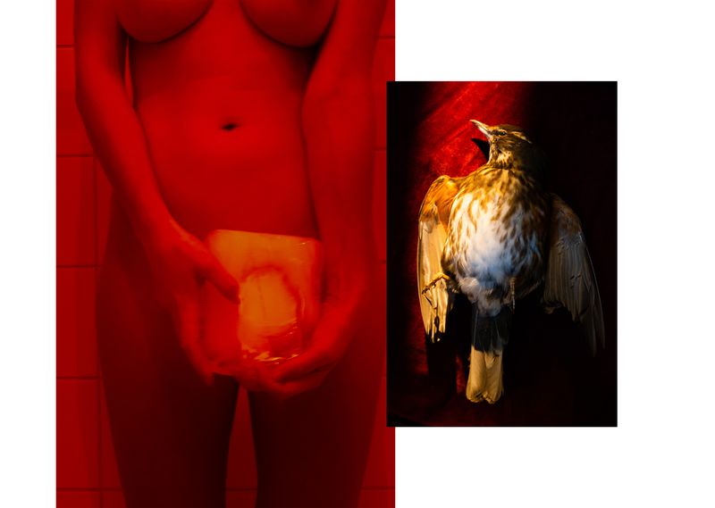© Sara Nicomedi - Image from the Extinction -isn't a good title- photography project