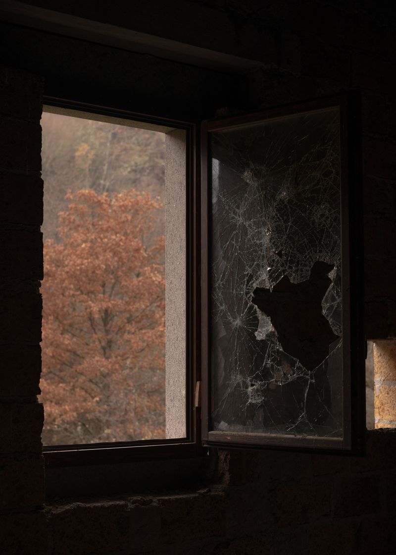 © Sara Nicomedi - Image from the Breath of the domestic forest photography project