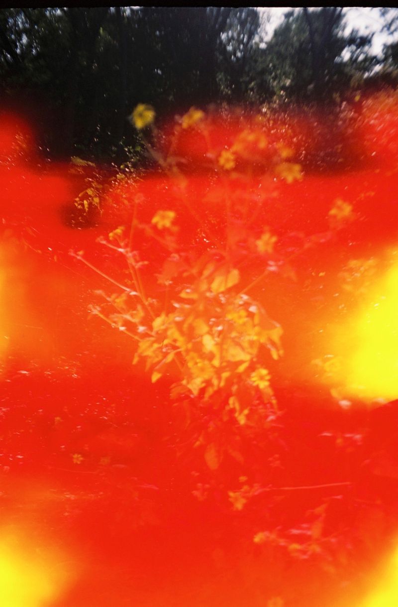 © Takako Noel - Image from the Cenote angels photography project