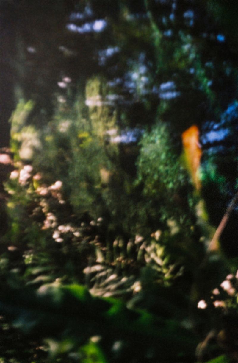 © Takako Noel - Image from the Cenote angels photography project