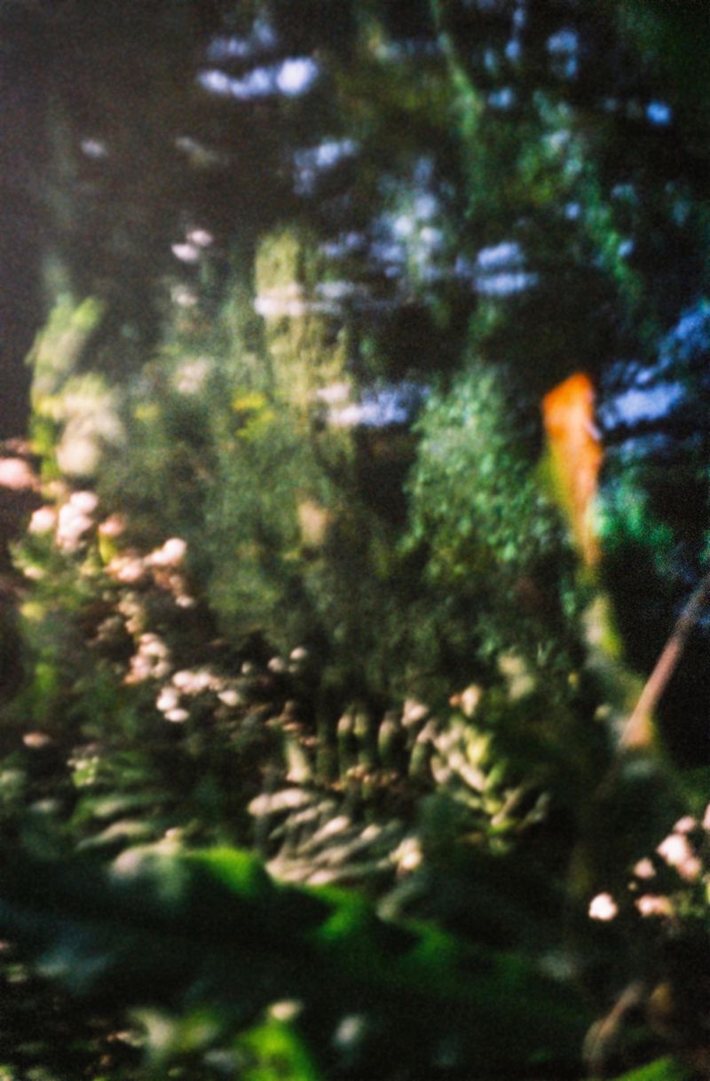 © Takako Noel - Image from the Cenote angels photography project