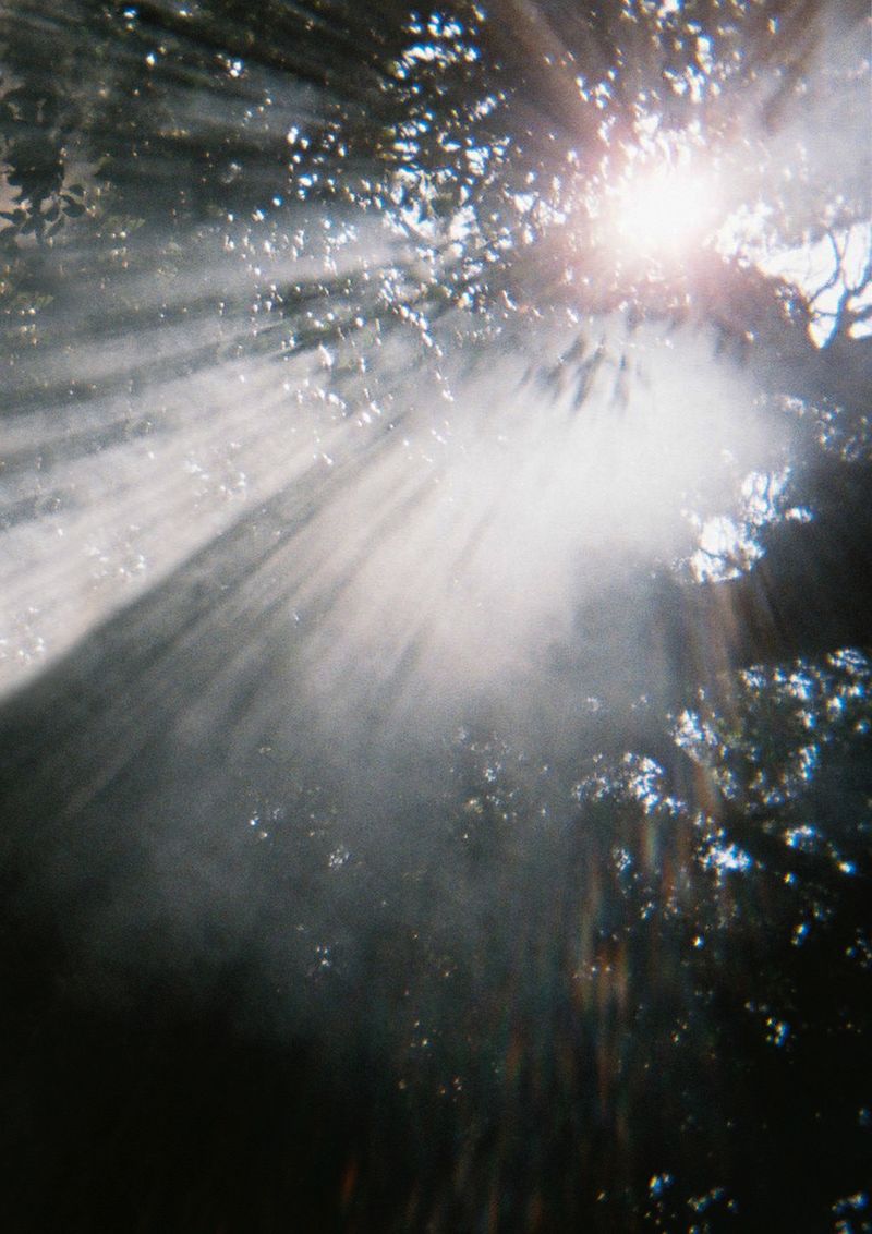 © Takako Noel - Image from the The Marriage of the Virgin photography project