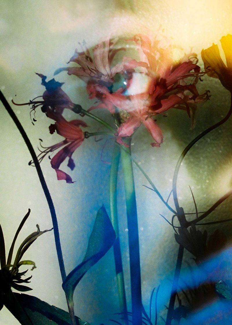 © Takako Noel - Image from the The Marriage of the Virgin photography project