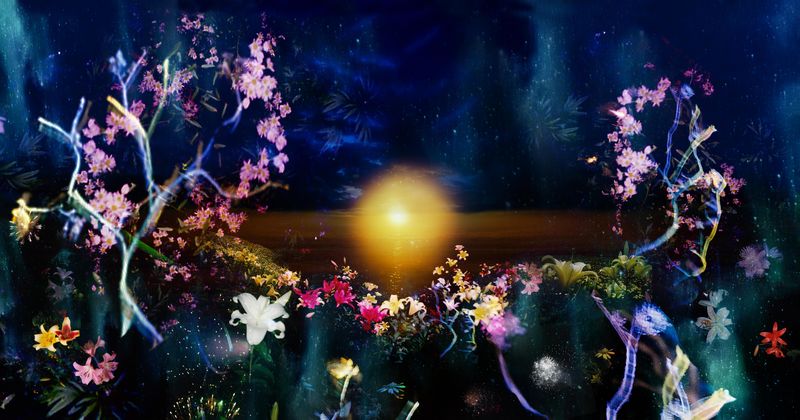 © Takako Noel - Image from the Far side of the new moon photography project