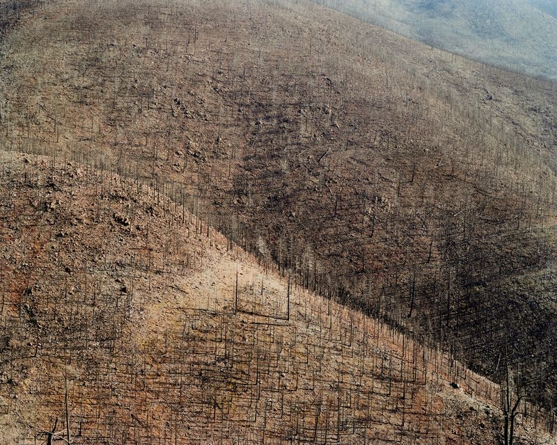 © Andrew - Burn Scar, Siskiyou Mountains, Gasquet, CA, 2024