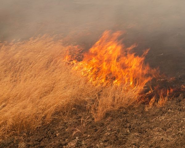 © Andrew - Flame, Midway Fire, Tracy, CA, 2025
