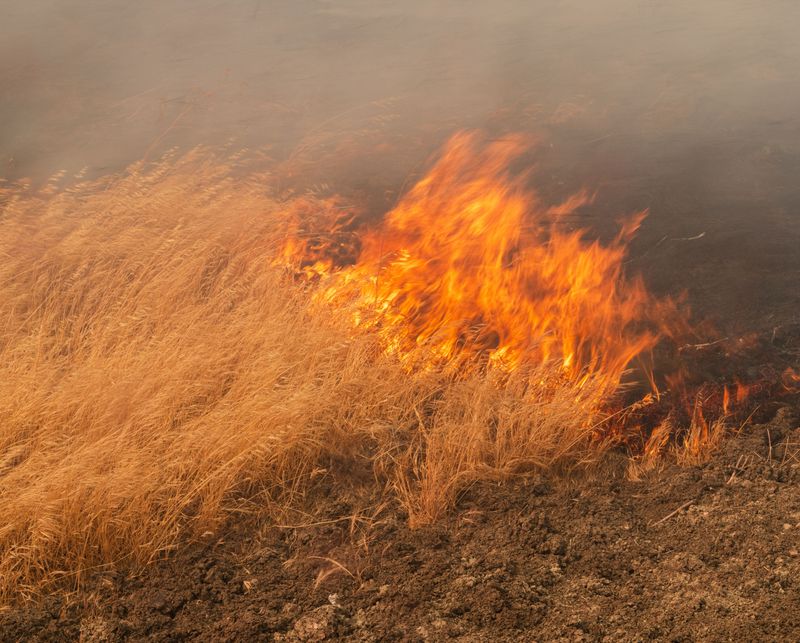 © Andrew - Flame, Midway Fire, Tracy, CA, 2025