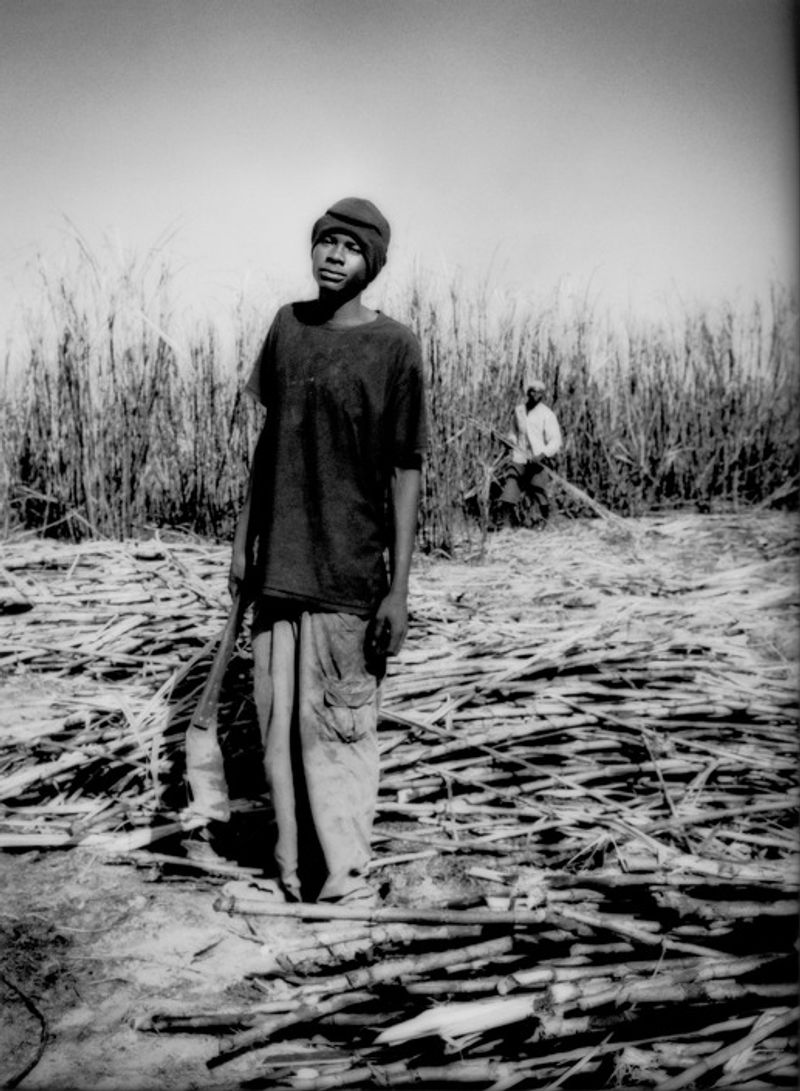 © James Whitlow Delano - Image from the The Consumption Ecosystem photography project