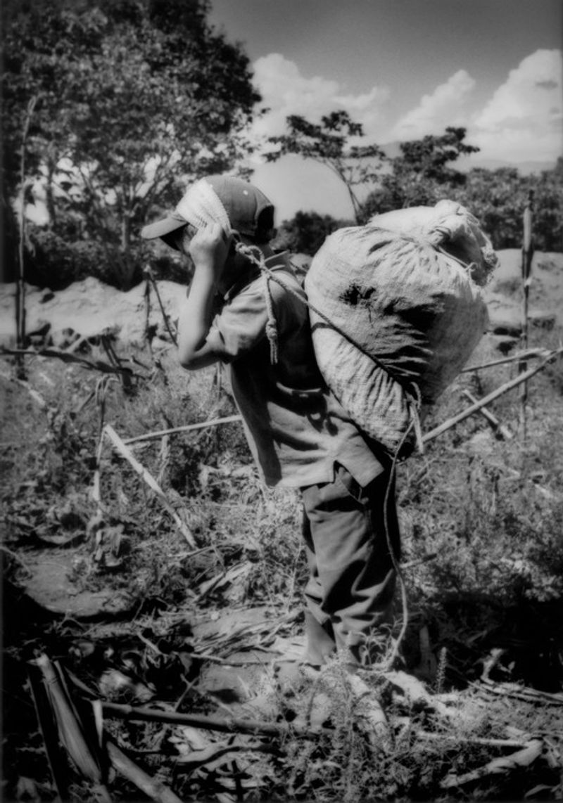 © James Whitlow Delano - Image from the The Consumption Ecosystem photography project