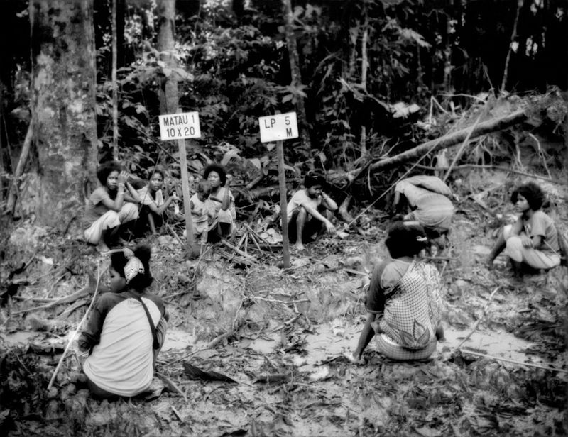 © James Whitlow Delano - Image from the The Consumption Ecosystem photography project