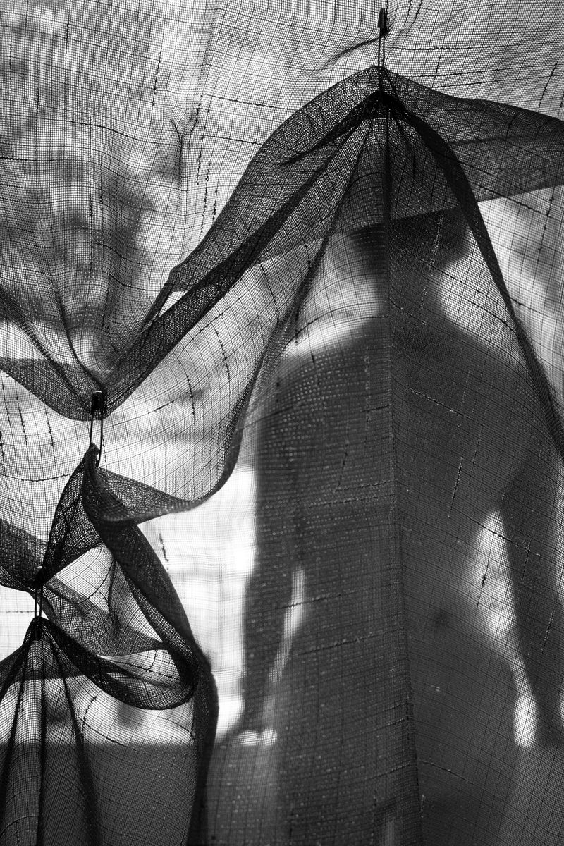 © Claire French - #126 Indistinct