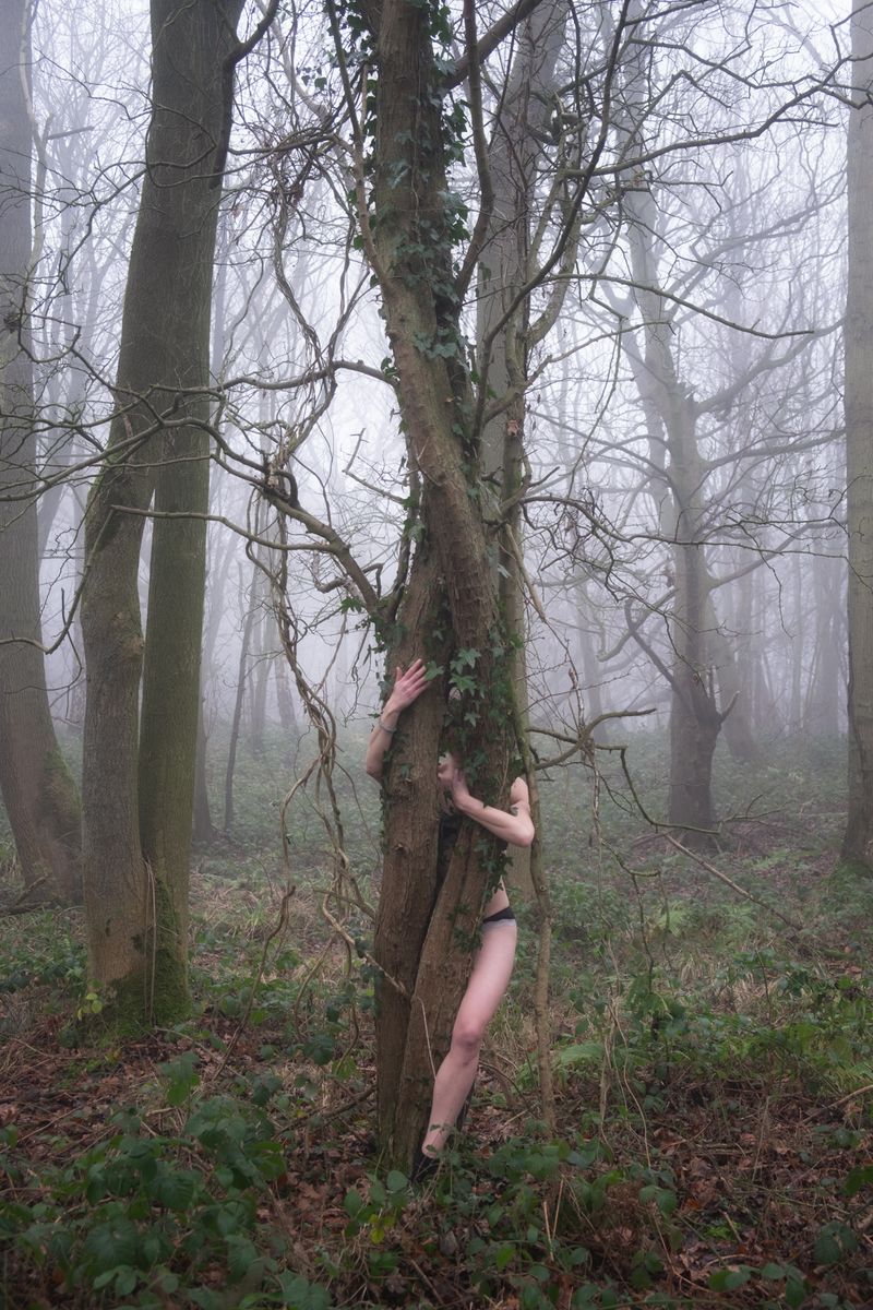 © Claire French - #331 Entwined