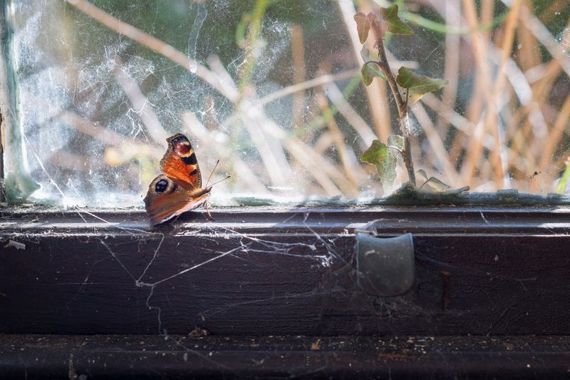 © Claire French - Image from the Oikos photography project