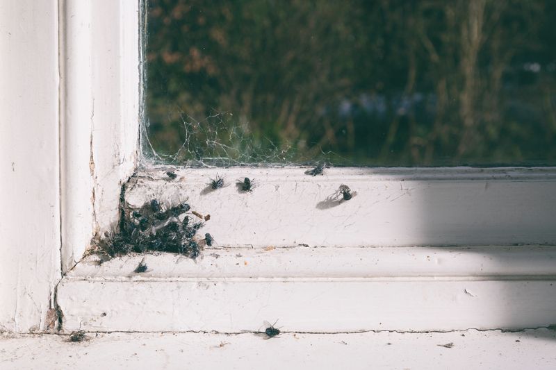 © Claire French - Image from the Oikos photography project