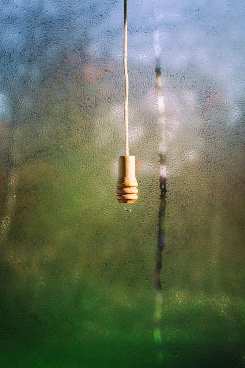 © Claire French - Image from the Oikos photography project