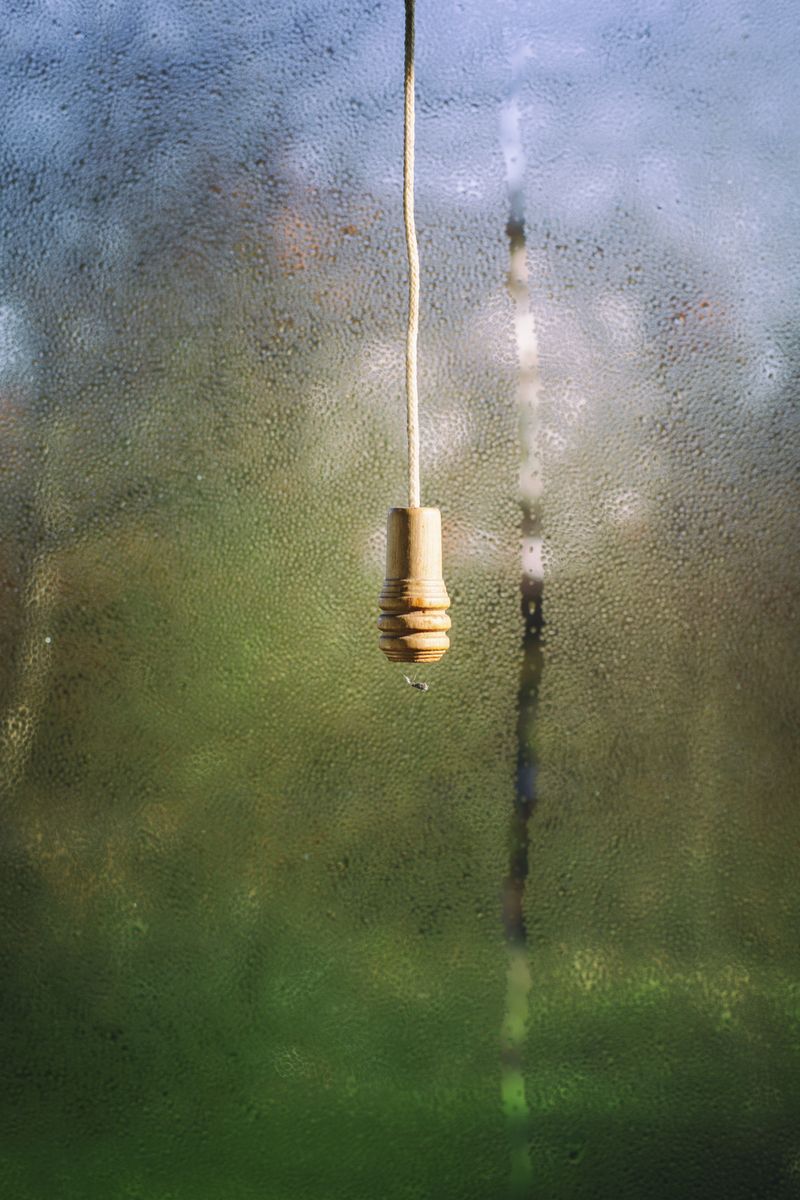 © Claire French - Image from the Oikos photography project