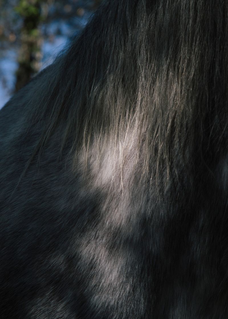 © Maite de Lorenzo - Image from the Land of a Thousand Dances photography project