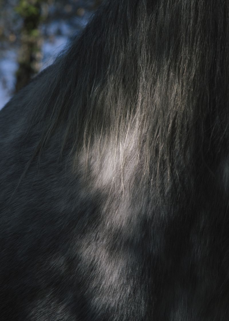 © Maite de Lorenzo - Image from the Land of a Thousand Dances photography project