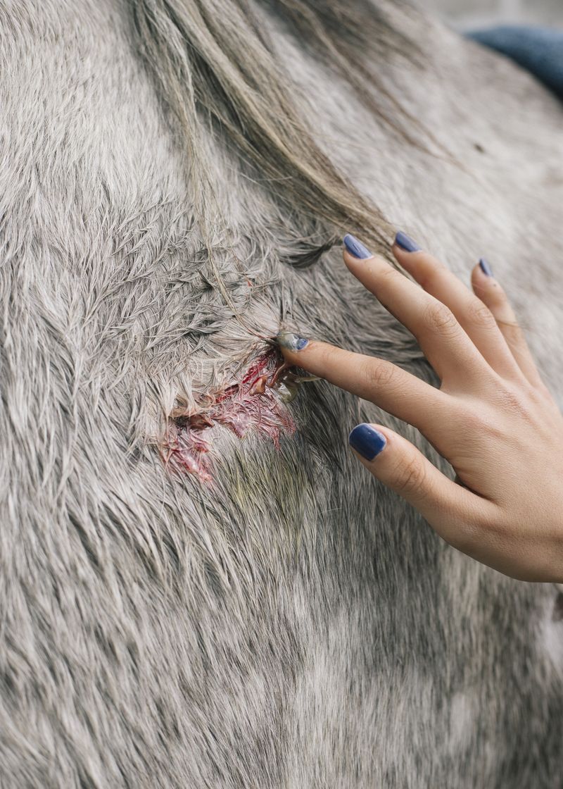 © Maite de Lorenzo - Image from the Land of a Thousand Dances photography project