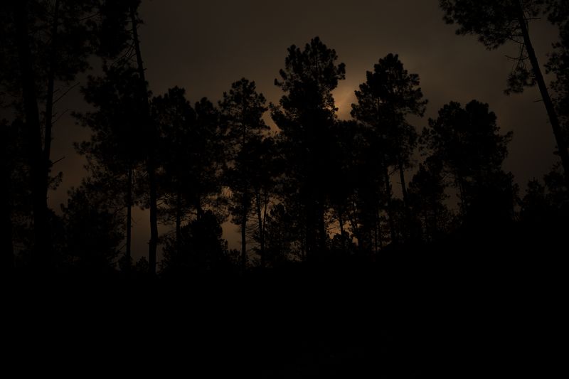 © Oskar Alvarado - Image from the Where Fireflies Unfold photography project