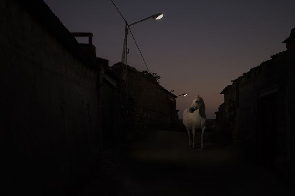 © Oskar Alvarado - Image from the Where Fireflies Unfold photography project