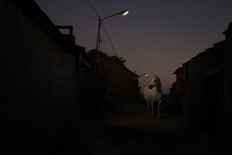 © Oskar Alvarado - Image from the Where Fireflies Unfold photography project