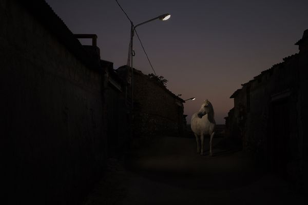 © Oskar Alvarado - Image from the Where Fireflies Unfold photography project