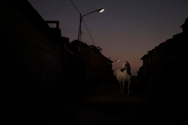 © Oskar Alvarado - Image from the Where Fireflies Unfold photography project