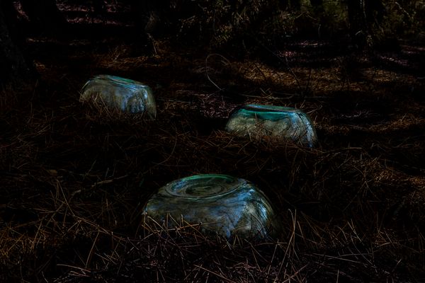 © Oskar Alvarado - Image from the Where Fireflies Unfold photography project