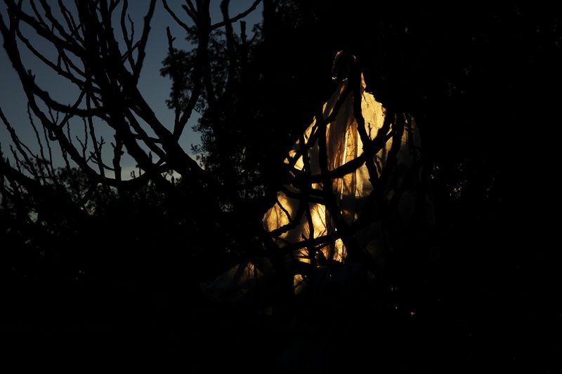© Oskar Alvarado - Image from the Where Fireflies Unfold photography project
