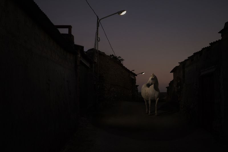 © Oskar Alvarado - Image from the Where Fireflies Unfold photography project