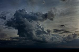 Where Fireflies Unfold