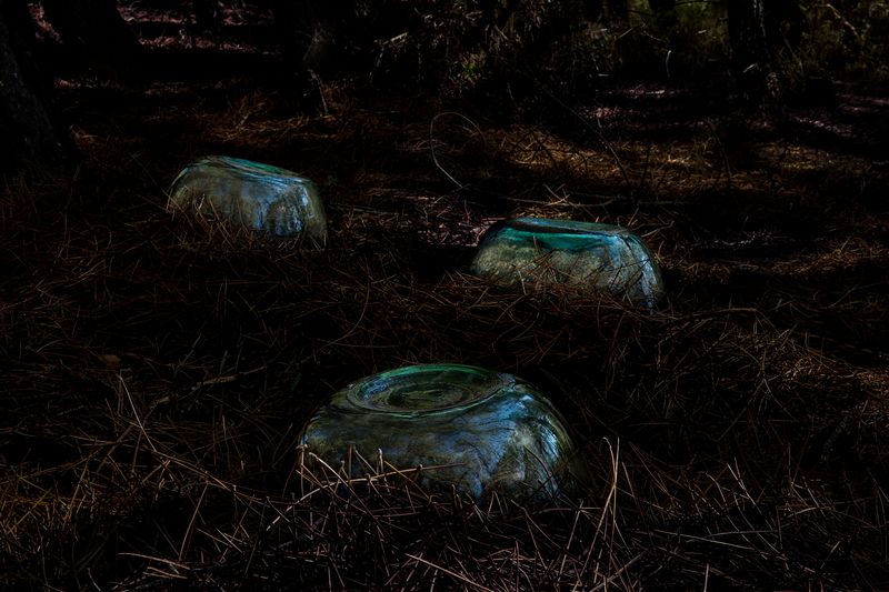 © Oskar Alvarado - Deleitosa, Spain. 2016.