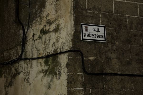 © Oskar Alvarado - Deleitosa, Spain. 2018.