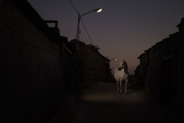 © Oskar Alvarado - Deleitosa, Spain. 2016.