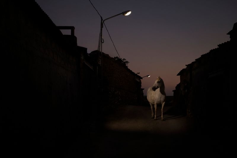 © Oskar Alvarado - Deleitosa, Spain. 2016.