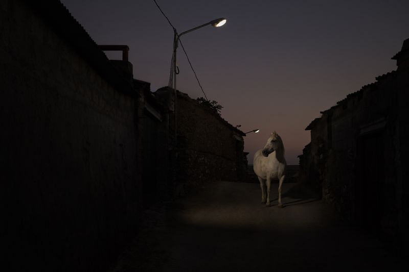 © Oskar Alvarado - Deleitosa, Spain. 2016.