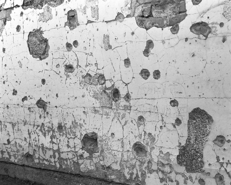 © Josip Artuković - Image from the Tea Soaked Madeleines photography project